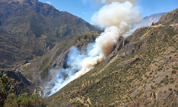 �SE REGISTRA PRIMER INCENDIO FORESTAL EN ANTABAMBA