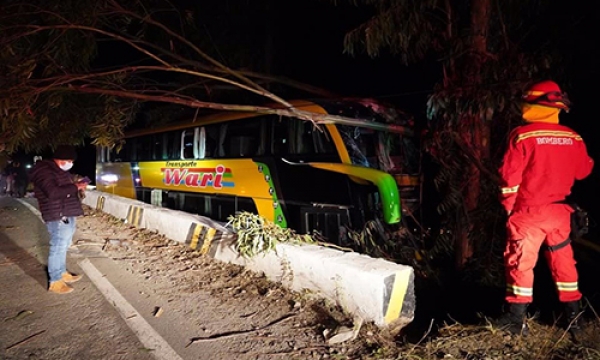 BUS DE LA EMPRESA WARI SE DESPISTA Y CHOCA CONTRA UN ÃRBOL EN LUCANAS