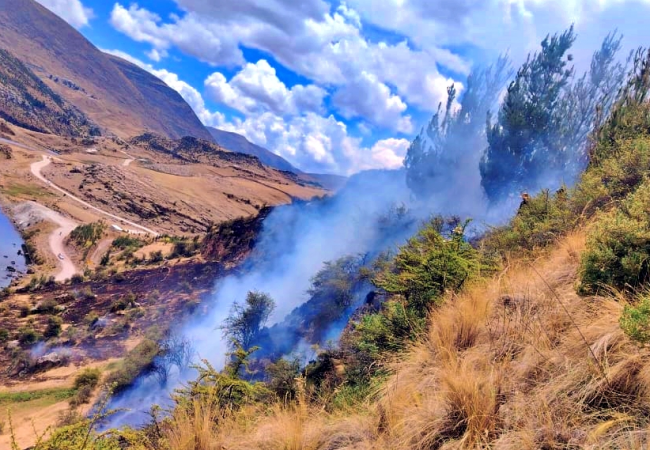 INCENDIOS FORESTALES ARRASAN EXTENSAS ÁREAS DE VEGETACIÓN Y FLORA NATIVA EN APURÍMAC
