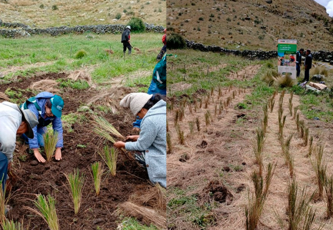SERFOR PROMUEVE PRÁCTICAS SOSTENIBLES EN APURÍMAC PARA PREVENIR INCENDIOS FORESTALES Y FORTALECER ECONOMÍAS LOCALES