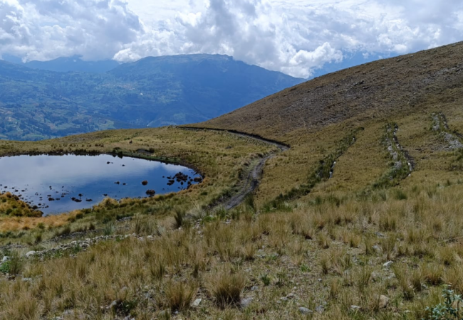 FORTALECEN LA SIEMBRA Y COSECHA DE AGUA EN LA MICROCUENCA CHALHUAHUACHO - ABANCAY