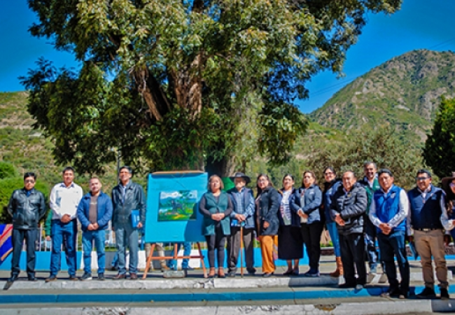 HISTÓRICO CEDRO DE MÁS DE 400 AÑOS EN CHALHUANCA ES DECLARADO ÁRBOL PATRIMONIAL